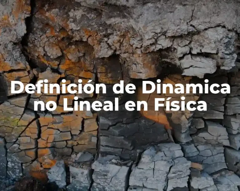 Definición de Dinamica no Lineal en Física