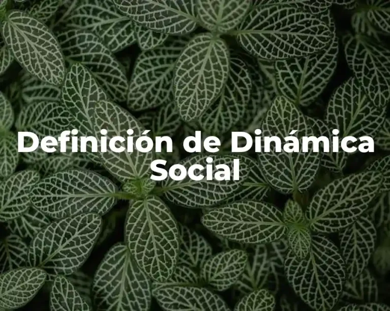 Definición de Dinámica Social