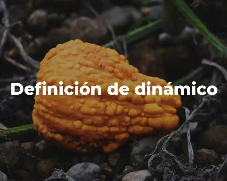 Definición de dinámico