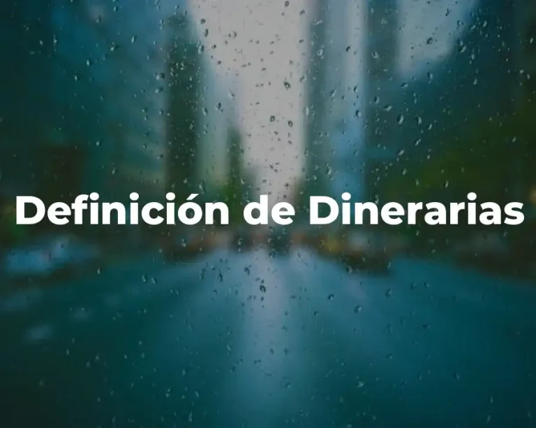 Definición de Dinerarias
