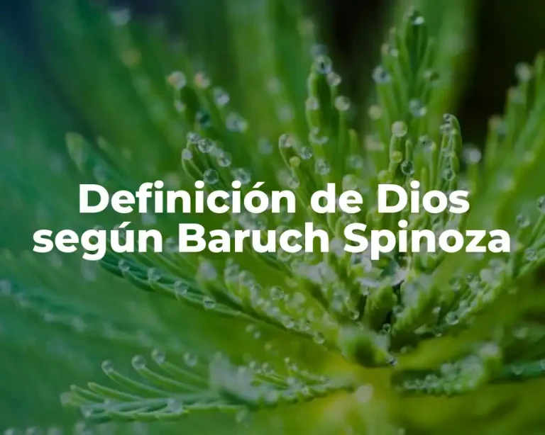 Definición de Dios según Baruch Spinoza