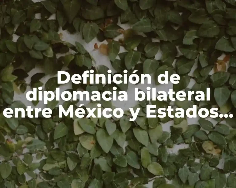 Definición de diplomacia bilateral entre México y Estados Unidos
