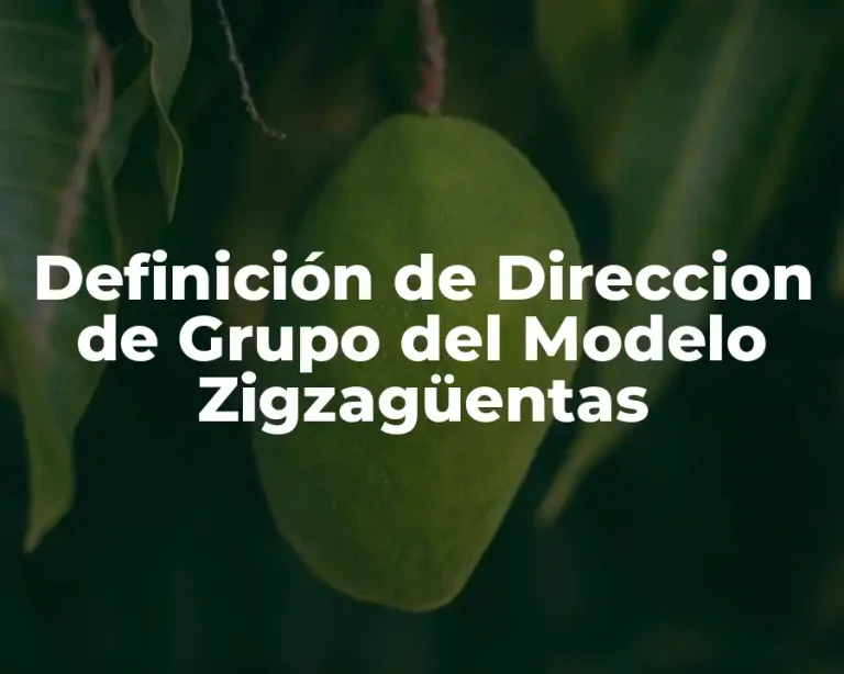 Definición de Direccion de Grupo del Modelo Zigzagüentas