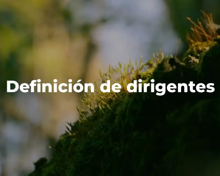 Definición de dirigentes