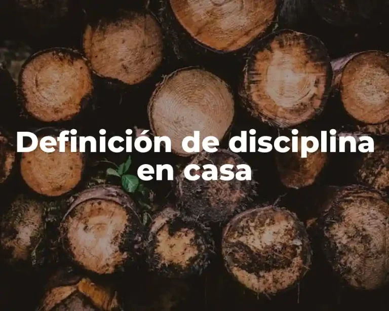 Definición de disciplina en casa