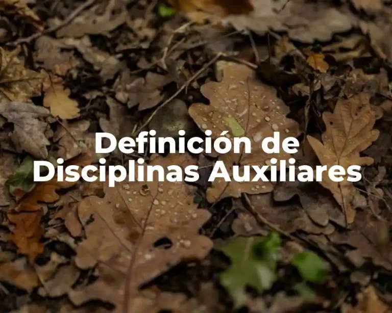 Definición de Disciplinas Auxiliares