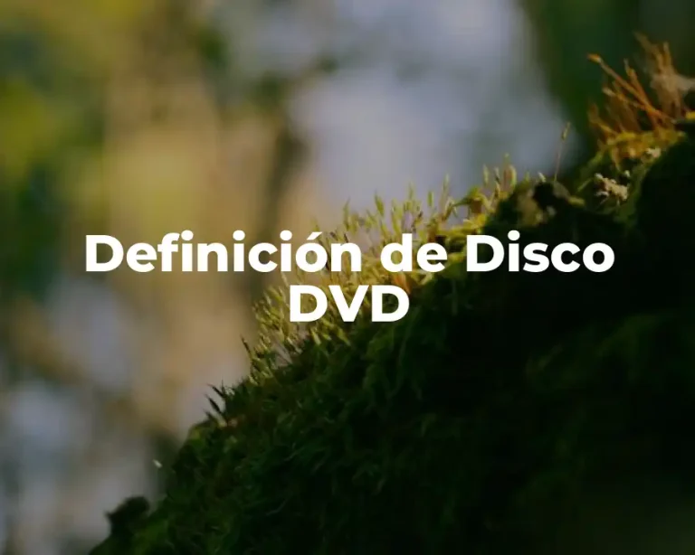 Definición de Disco DVD