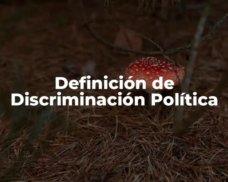 Definición de Discriminación Política