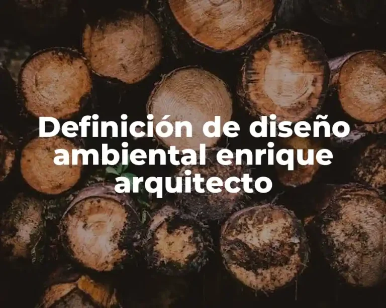 Definición de diseño ambiental enrique arquitecto