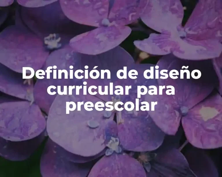 Definición de diseño curricular para preescolar