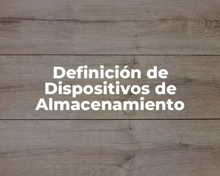 Definición de Dispositivos de Almacenamiento