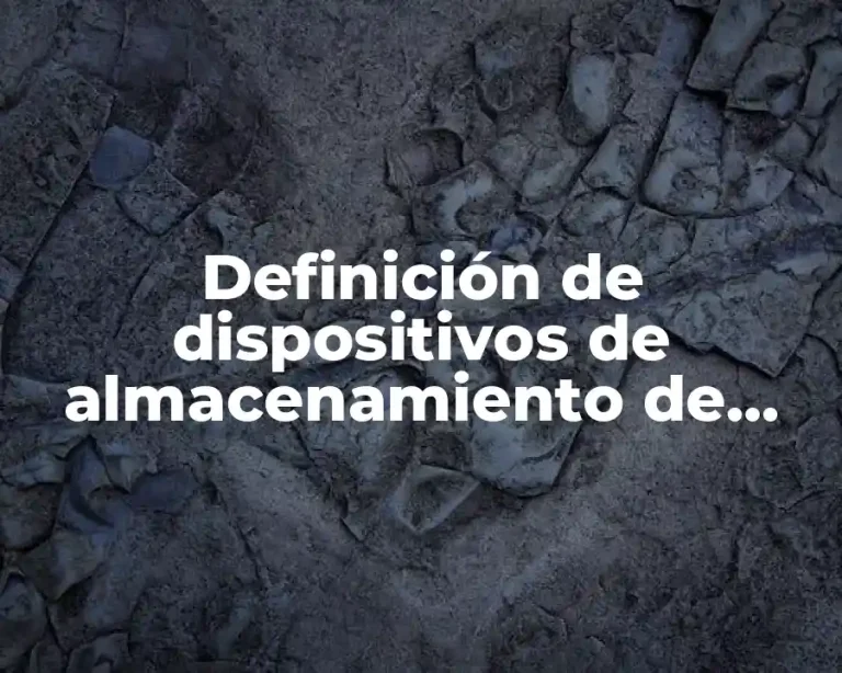 Definición de dispositivos de almacenamiento de una computadora