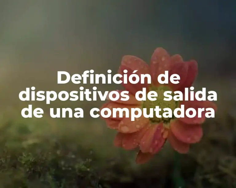 Definición de dispositivos de salida de una computadora