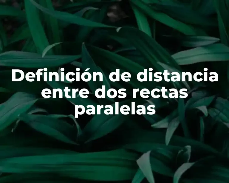 Definición de distancia entre dos rectas paralelas