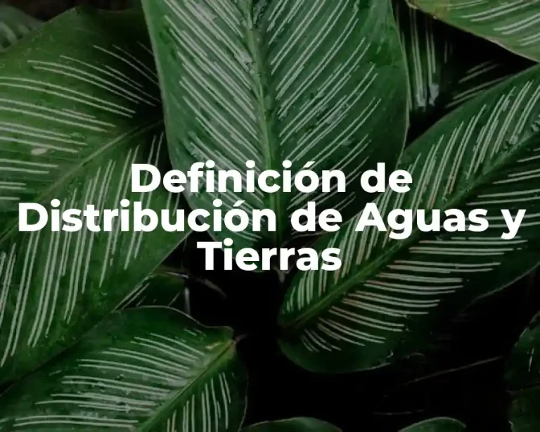Definición de Distribución de Aguas y Tierras