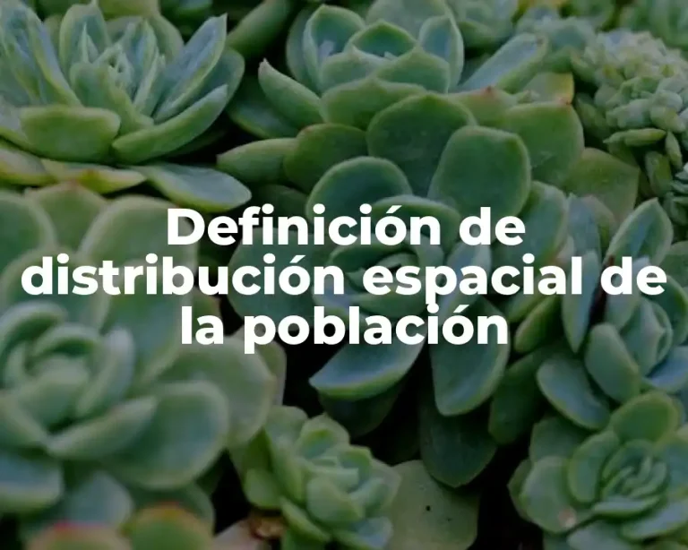 Definición de distribución espacial de la población
