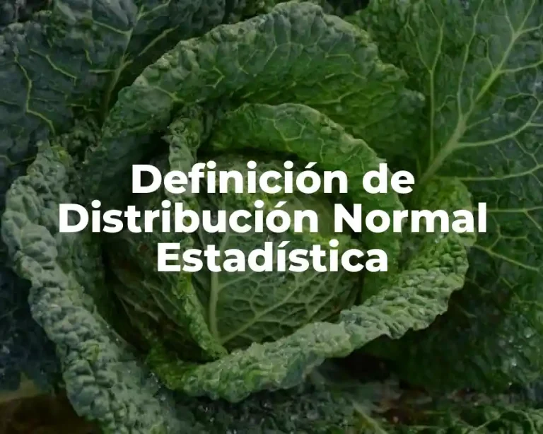 Definición de Distribución Normal Estadística