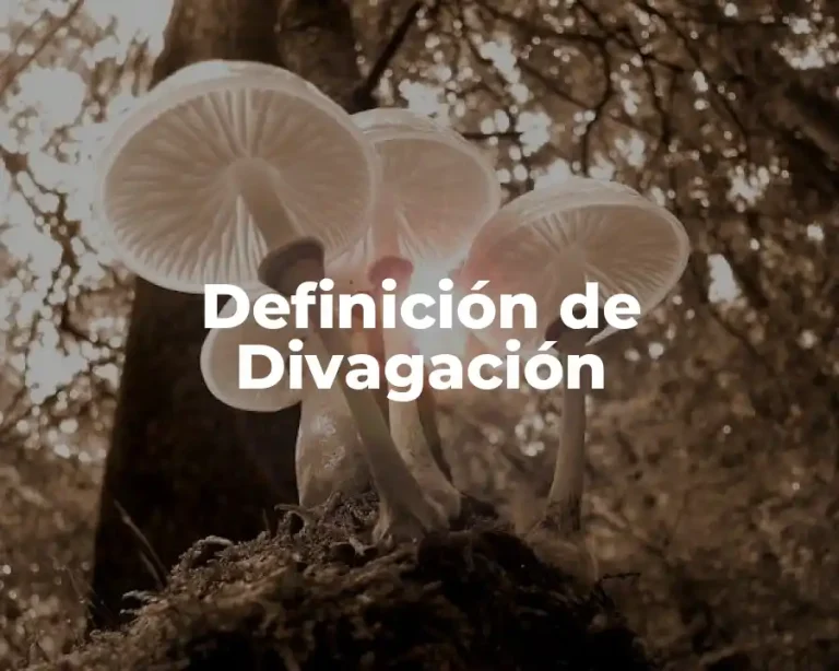 Definición de Divagación