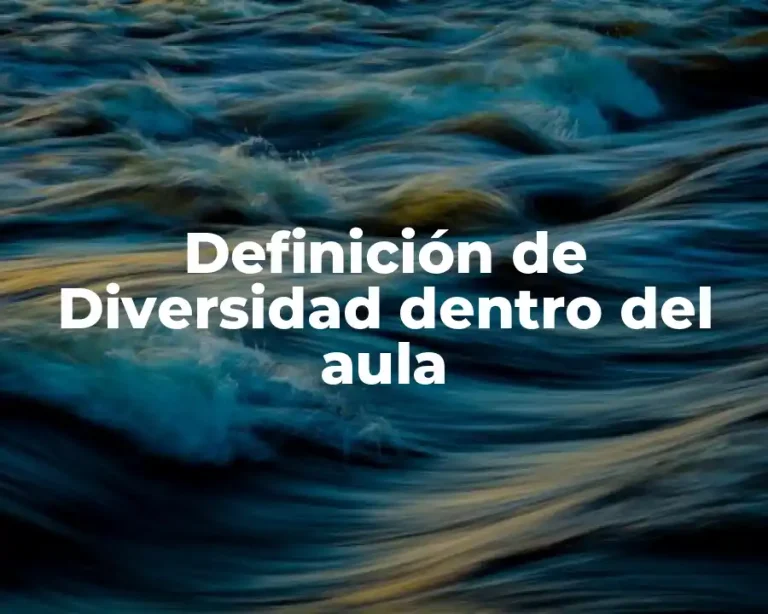 Definición de Diversidad dentro del aula