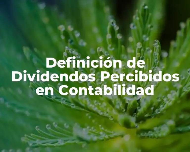 Definición de Dividendos Percibidos en Contabilidad
