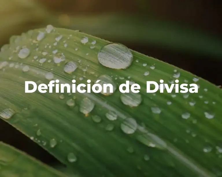 Definición de Divisa