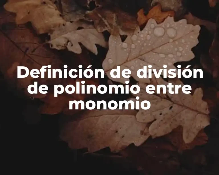 Definición de división de polinomio entre monomio