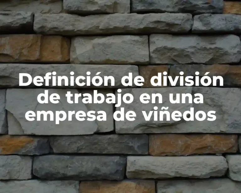 Definición de división de trabajo en una empresa de viñedos