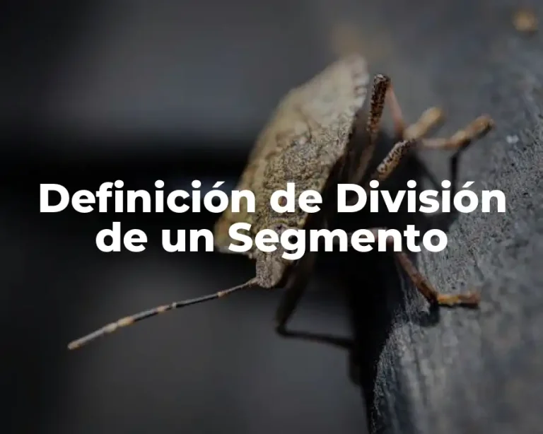 Definición de División de un Segmento