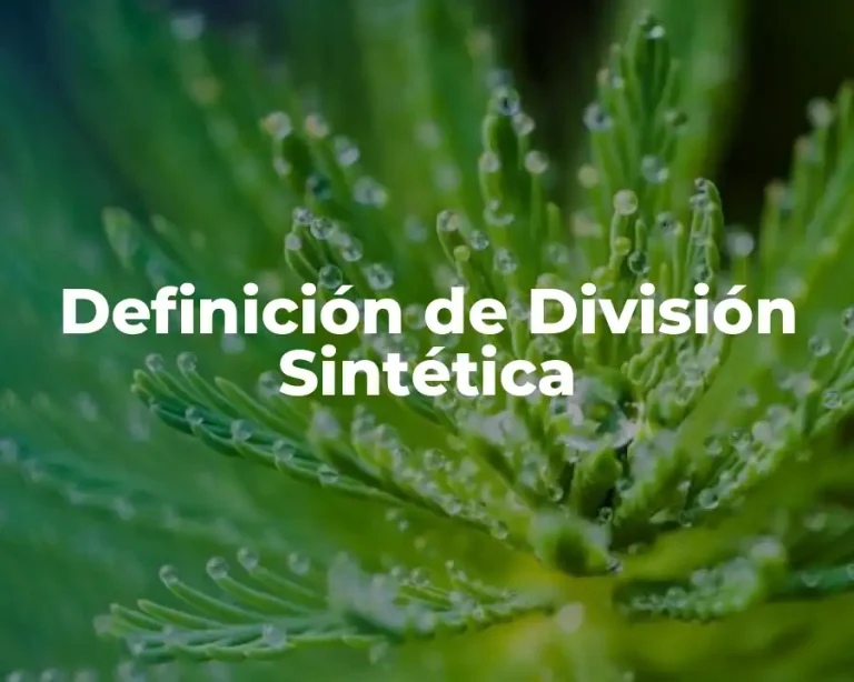 Definición de División Sintética
