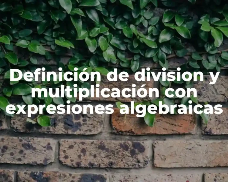 Definición de division y multiplicación con expresiones algebraicas