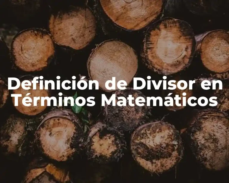 Definición de Divisor en Términos Matemáticos