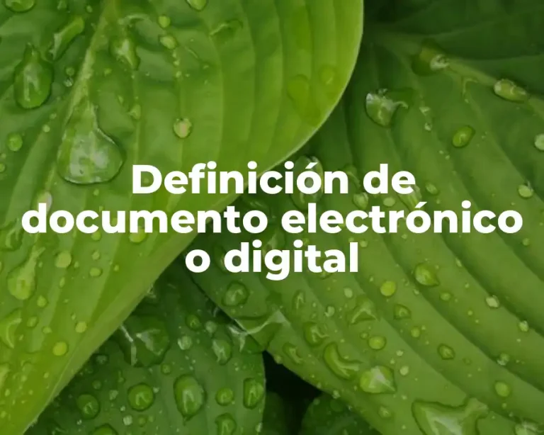 Definición de documento electrónico o digital