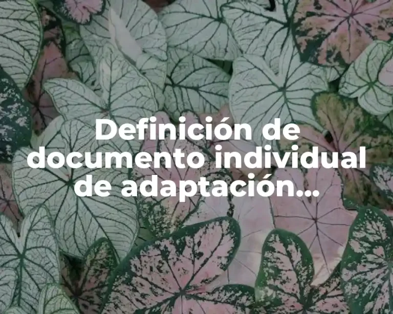 Definición de documento individual de adaptación curricular