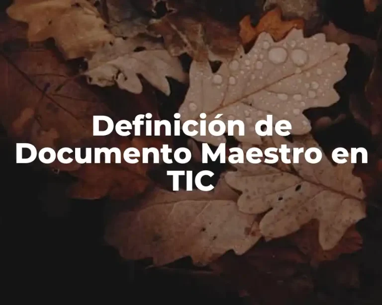 Definición de Documento Maestro en TIC