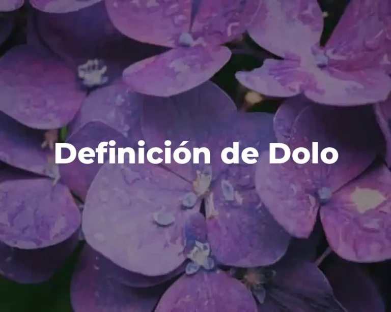Definición de Dolo