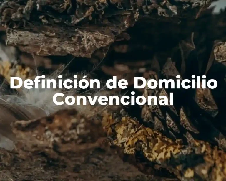 Definición de Domicilio Convencional