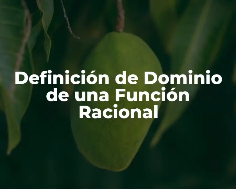 Definición de Dominio de una Función Racional