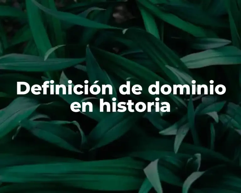 Definición de dominio en historia