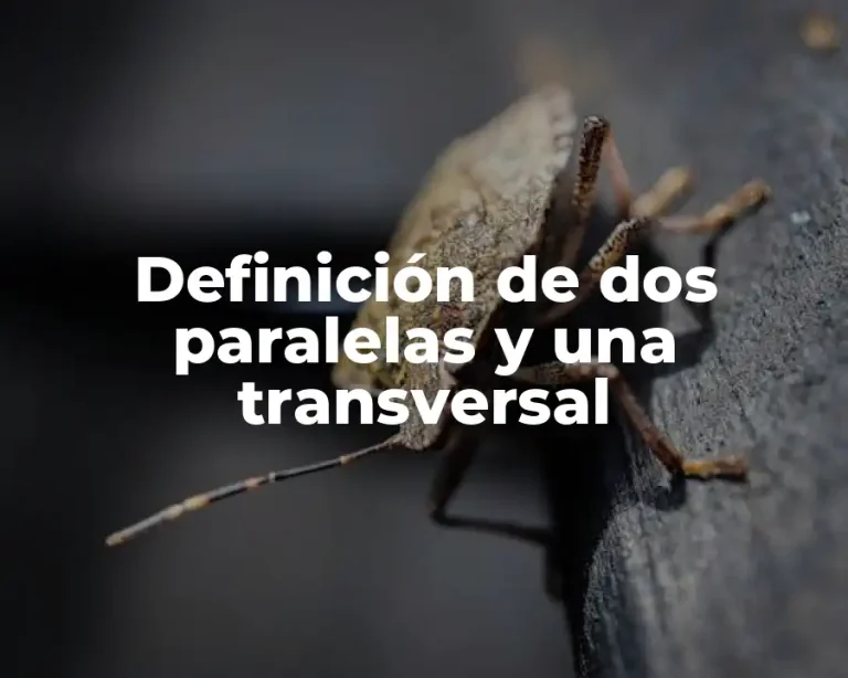 Definición de dos paralelas y una transversal