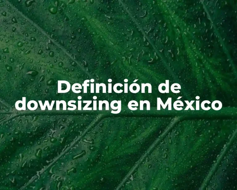 Definición de downsizing en México