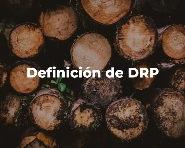 Definición de DRP