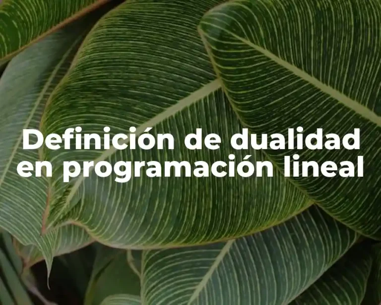 Definición de dualidad en programación lineal