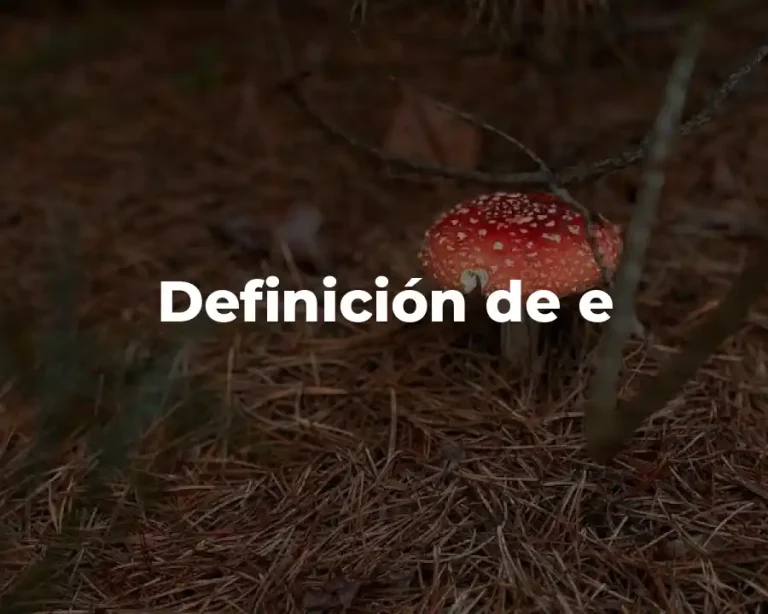 Definición de e