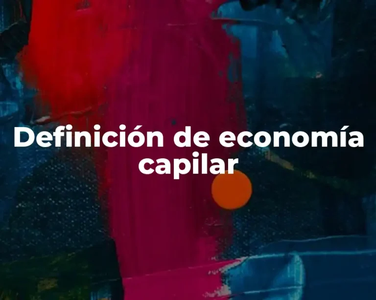 Definición de economía capilar