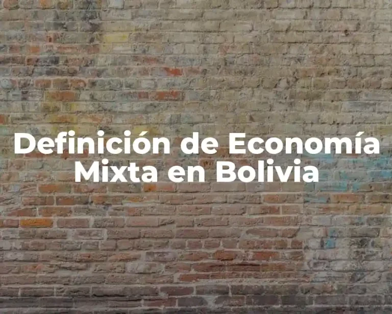 Definición de Economía Mixta en Bolivia