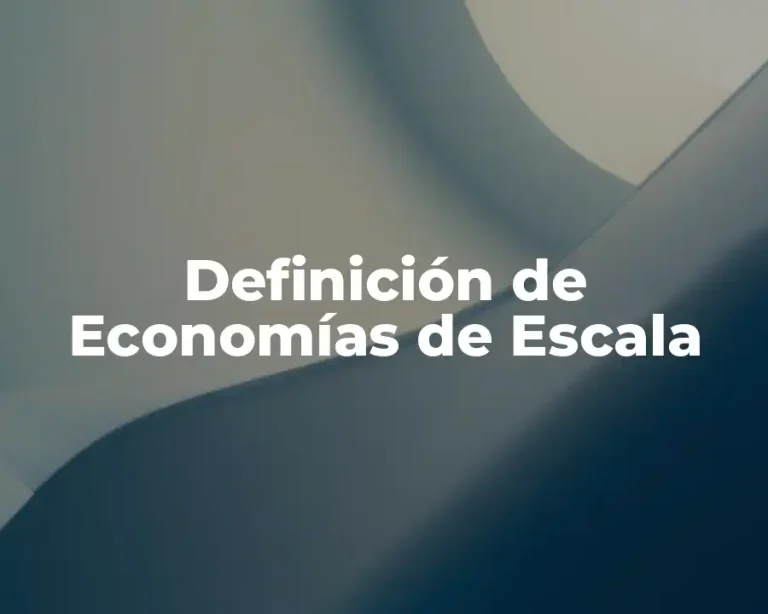 Definición de Economías de Escala