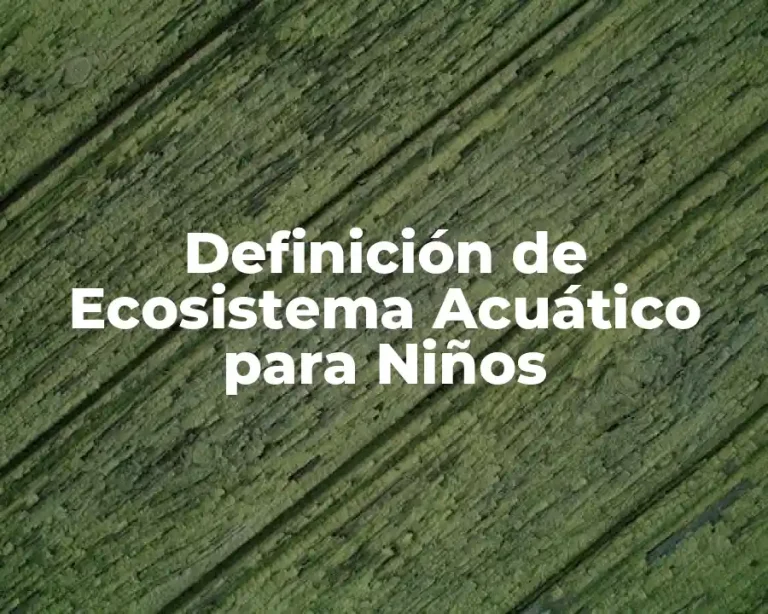 Definición de Ecosistema Acuático para Niños