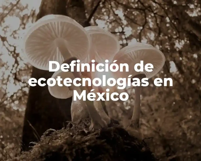 Definición de ecotecnologías en México