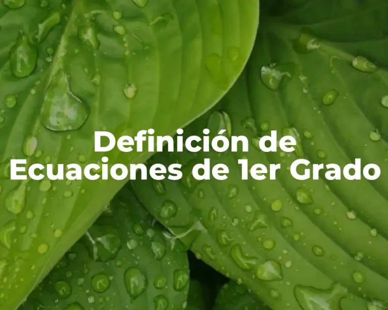 Definición de Ecuaciones de 1er Grado