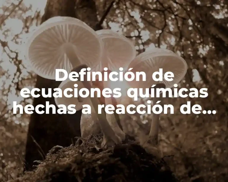 Definición de ecuaciones químicas hechas a reacción de adición